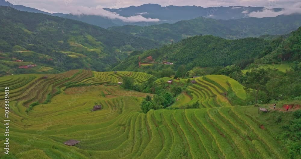 Aerial view of A breathtaking view of vibrant green and golden rice terraces cascading down the mountainside, set against a backdrop of lush hills and a cloudy sky in a serene rural setting. Aerial view of A breathtaking view of vibrant green and golden rice terraces cascading down the mountainside, set against a backdrop of lush hills and a cloudy sky in a serene rural setting.