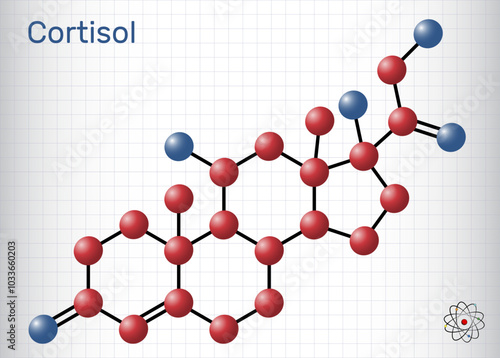 Cortisol, hydrocortisone steroid molecule. Stress hormone involved in metabolism and immune response. Chemical structure. Sheet of paper in a cage. Vector illustration