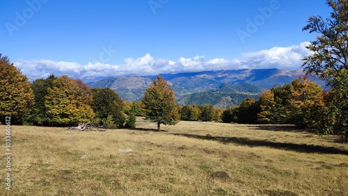 autumn in the mountains