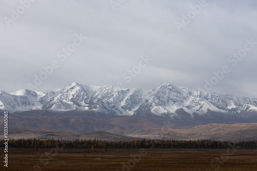 snowcapped mountain ridge with a autumn forest in front