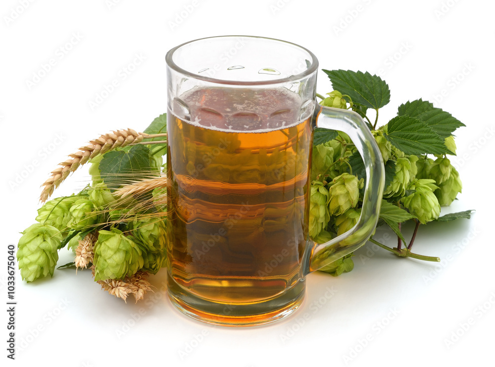 Glass of beer and hops with wheat. Glass of beer and hops with wheat.