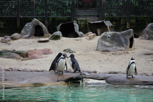 London Zoo