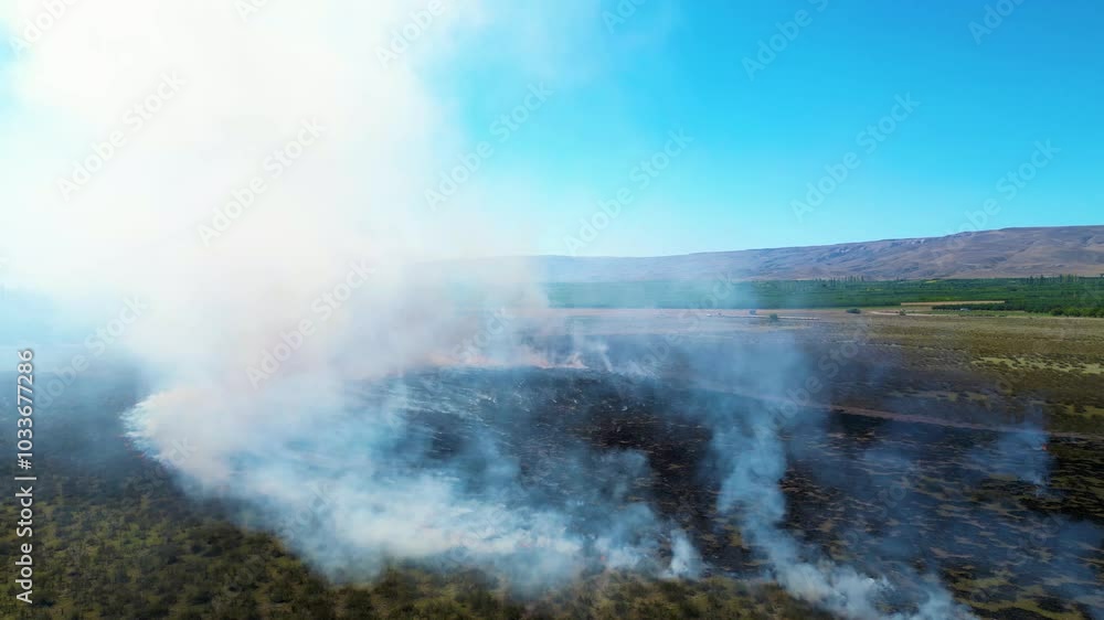 Burning Grass in Large Field Burning Grass in Large Field