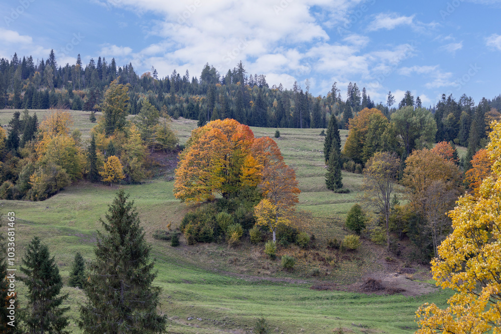 Picturesque view of the autumn landscape in the Pieniny Mountains, colorful leaves on the trees, Szczawnica, Poland