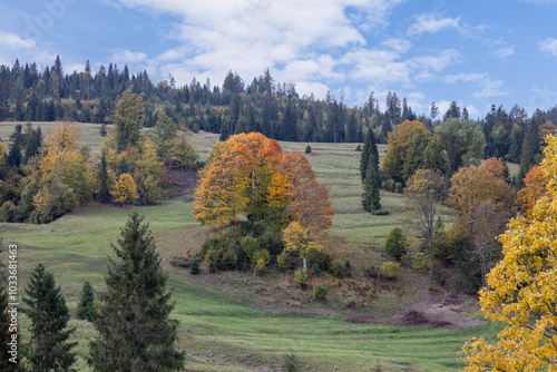 Picturesque view of the autumn landscape in the Pieniny Mountains, colorful leaves on the trees, Szczawnica, Poland photo