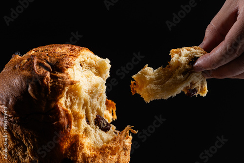 Anonymous hand tearing a slice of rich fruit-filled panettone photo