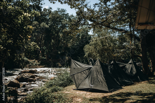 Glamping/Camping site in the forest, Glamping/Camping tent surrounded by natural tree forest 