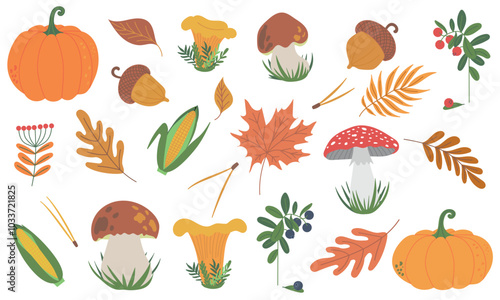 Set of vector beautiful symbols for autumn fall pumpkins, autumn falling leaves, chanterelle, porcini mushrooms, acorn, corn cob and cranberry. Hand drawn flat designs, icons. Hello autumn frame