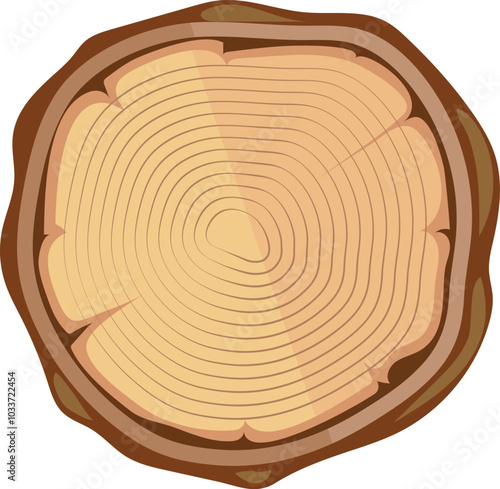 Tree cut with year circles. Wooden trunk section