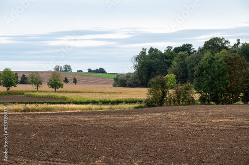 Plowed soil of agriculture fields and hills at the Flemish countryside in Tienen, Belgium photo