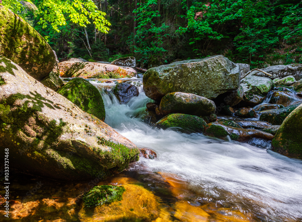 A little stream of water in the National Park Krkonose in Czech republic.