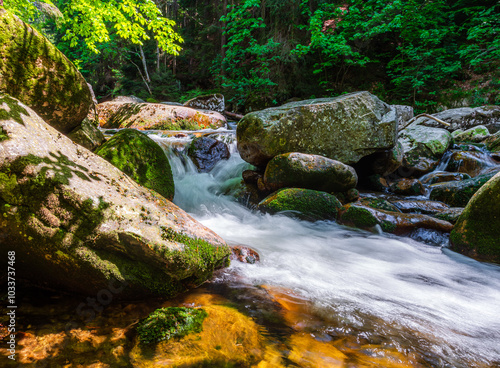 Obraz na płótnie A little stream of water in the National Park Krkonose in Czech republic. w salonie