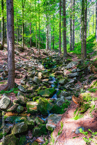Obraz na płótnie A little stream of water in the National Park Krkonose in Czech republic. w salonie