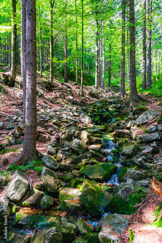 Obraz na płótnie A little stream of water in the National Park Krkonose in Czech republic. w salonie