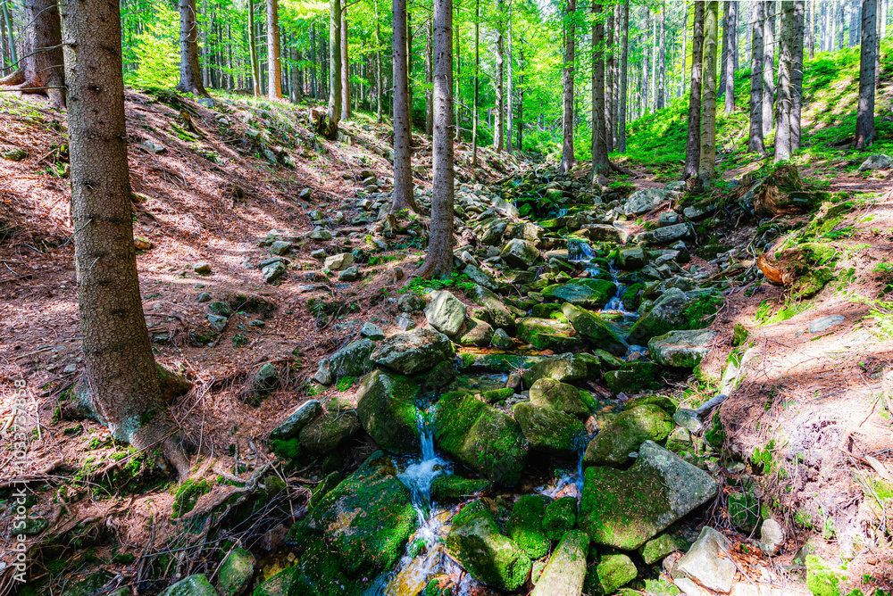 A little stream of water in the National Park Krkonose in Czech republic.