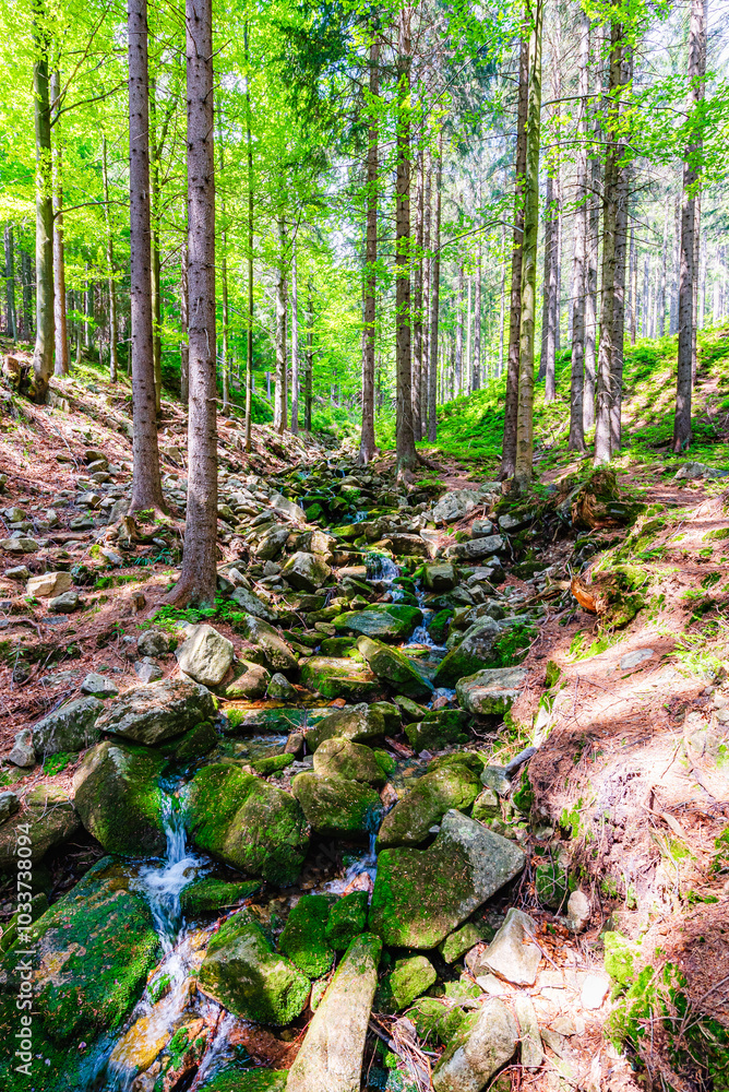 A little stream of water in the National Park Krkonose in Czech republic.