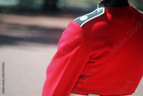 Tableau sur toile person in dressBritish guardsman London England