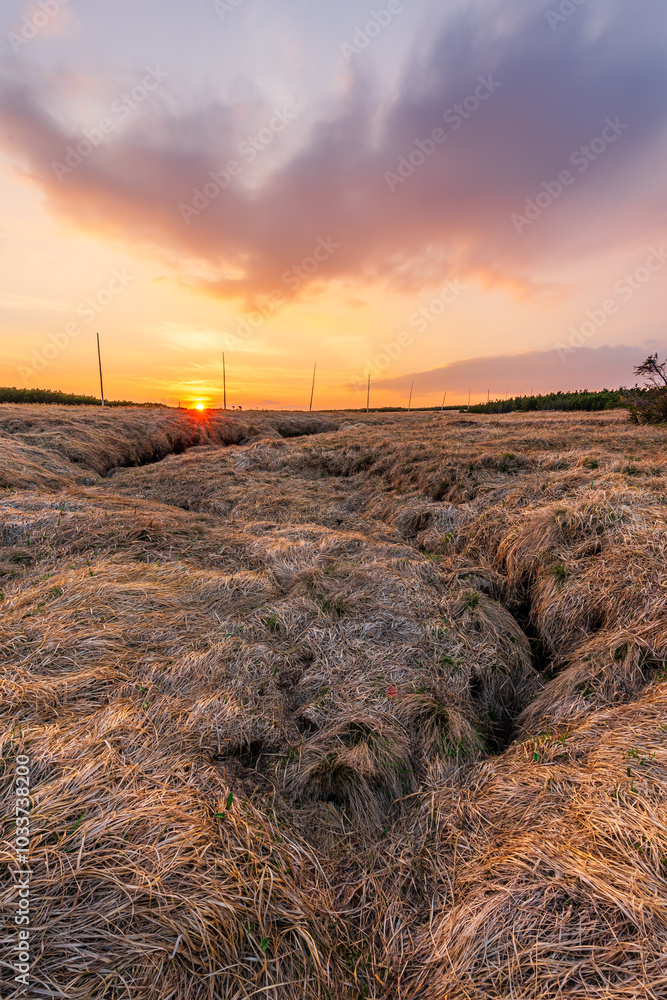 Source of the Elbe river in the Krkonose mountains in Czechia during sunset.