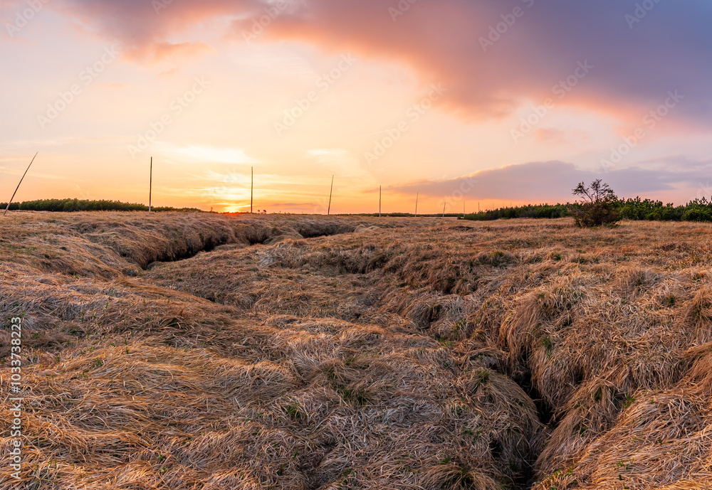 Source of the Elbe river in the Krkonose mountains in Czechia during sunset.