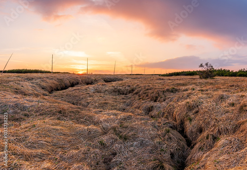 Obraz na płótnie Source of the Elbe river in the Krkonose mountains in Czechia during sunset. w salonie