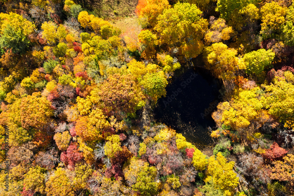 Aerial view of small lake in lush forest with colorful canopies in autumn woods on sunny day. Landscape of autumnal wild nature Aerial view of small lake in lush forest with colorful canopies in autumn woods on sunny day. Landscape of autumnal wild nature