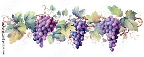 Watercolor illustration of grapevine with lush purple grapes and green leaves, showcasing nature's beauty and elegance in a detailed painting.