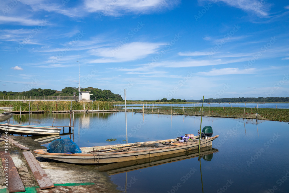 Obraz premium 湖畔の風景