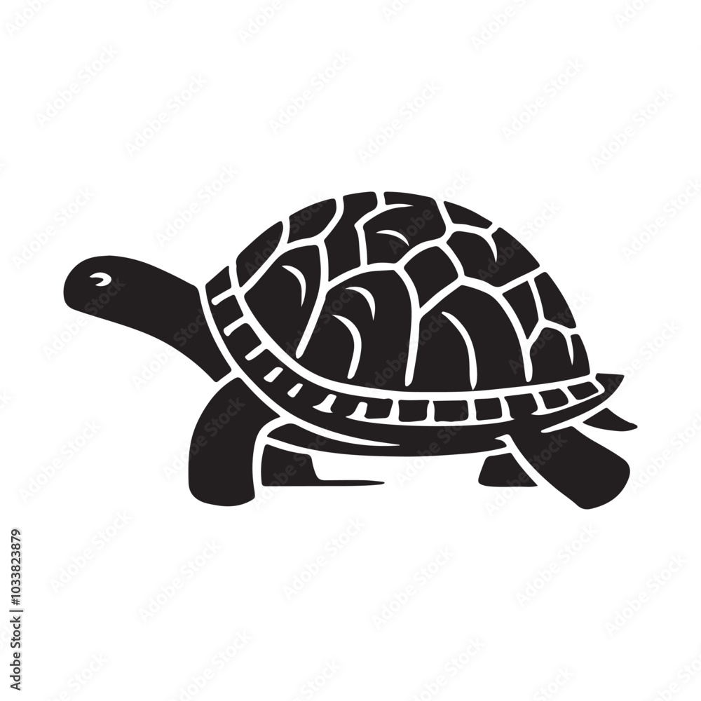 Shadow Silhouette of a Turtle - Clean White Background. Shadow Silhouette of a Turtle - Clean White Background.