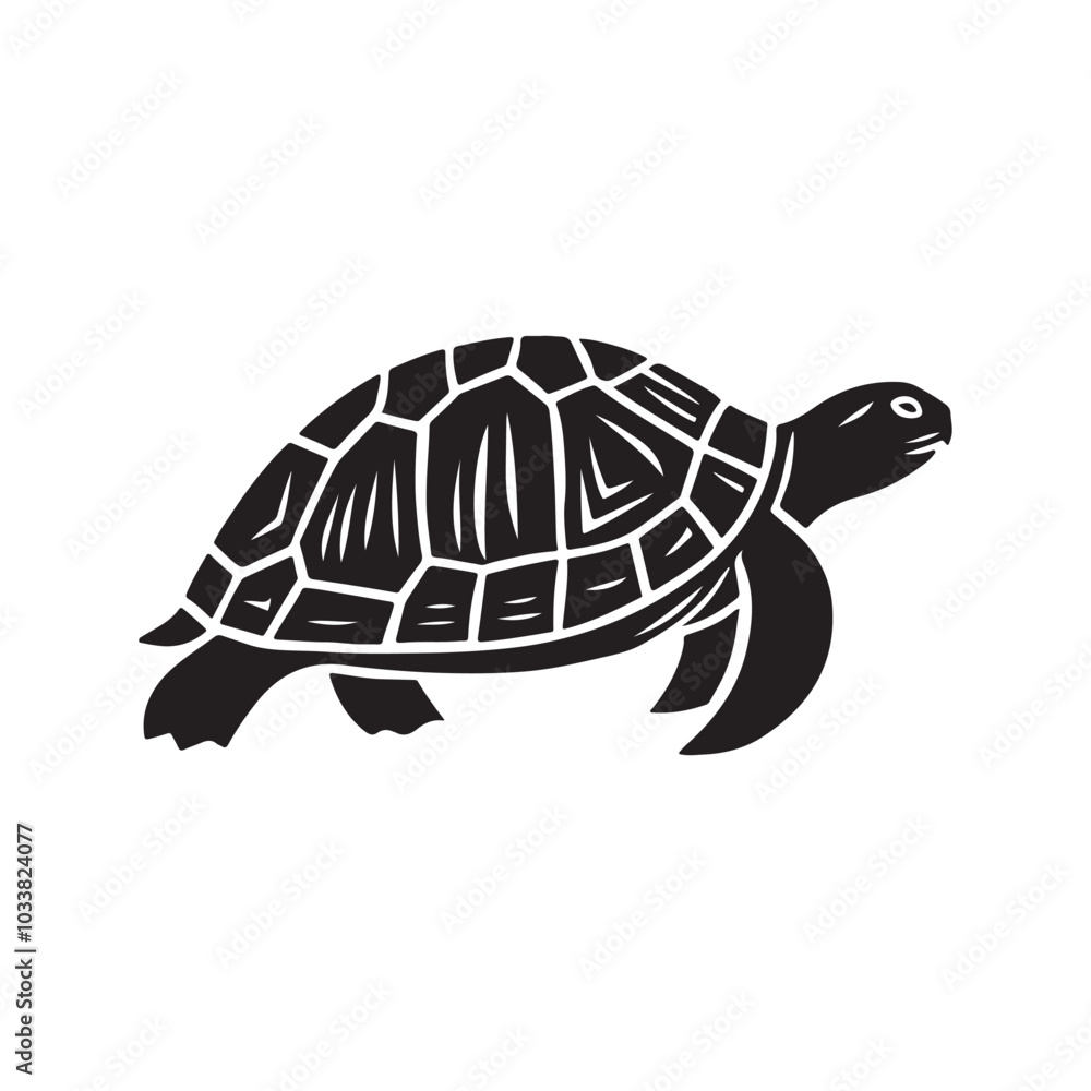 Fototapeta premium Turtle Shadow Silhouette. Simple White Background Design.
