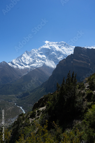 Serenity of a snow-capped mountain viewed between verdant slopes under a clear blue sky.