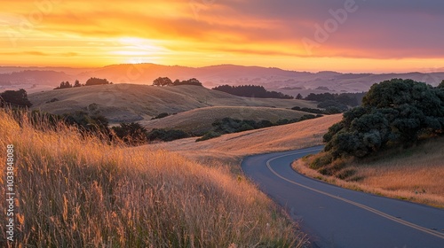 Golden Sunlight Fading into Hues of Orange and Pink Above a Winding Road