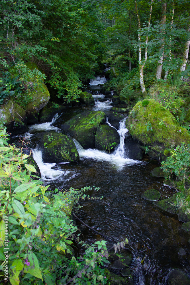 Scenic view of waterfall in Triberger Wasserfälle. Im Schwarzwald Scenic view of waterfall in Triberger Wasserfälle. Im Schwarzwald