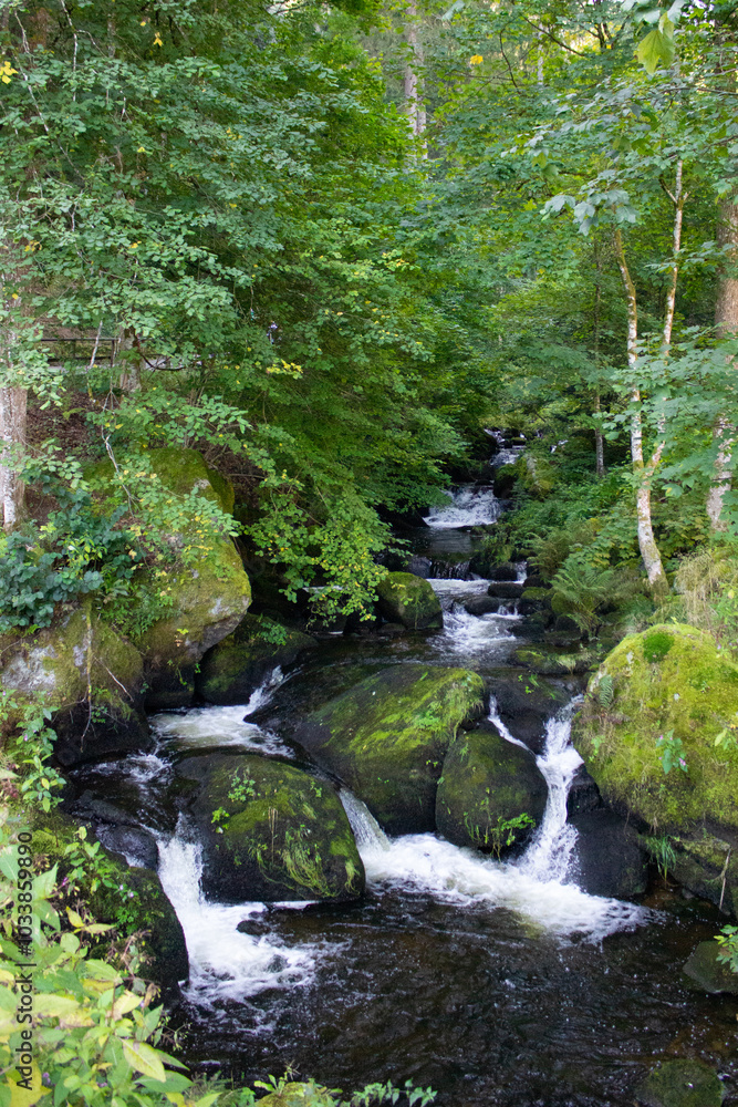 Scenic view of waterfall in Triberger Wasserfälle. Im Schwarzwald Scenic view of waterfall in Triberger Wasserfälle. Im Schwarzwald