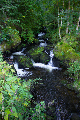 Scenic view of waterfall in Triberger Wasserfälle. Im Schwarzwald 