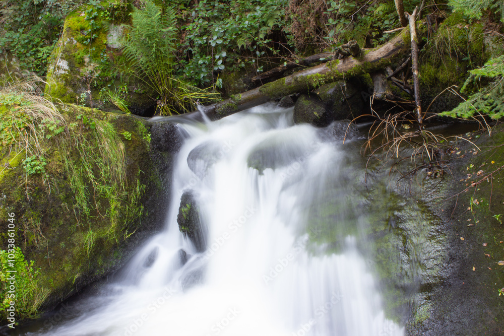 Scenic view of waterfall in Triberger Wasserfälle. Im Schwarzwald Scenic view of waterfall in Triberger Wasserfälle. Im Schwarzwald