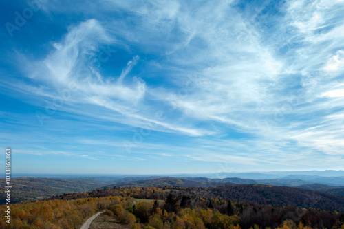 Beautiful autumn landscape. Travel, hiking, freedom, active lifestyle. Autumn in the forest.