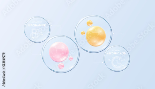 Vitamin B3 Niacinamide and Vitamin C Ascorbic Acid solution on glass transparent circular disc and chemical structure formula. Serum skin care face for cosmetics ads. Medical beauty science. Vector.