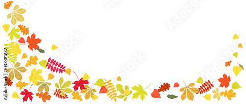 Falling autumn leaves on white background. Isolated hand drawn vector long banner with grapes, oak, chestnut, aspen, red rowan, maple foliage. Red, yellow, orange, green, purple, pink, brown colors
