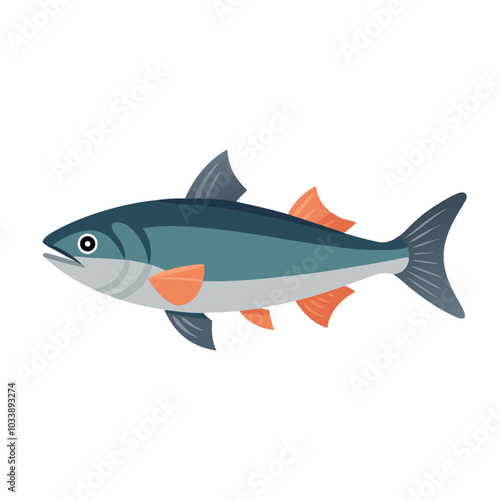 Salmon animal isolated flat vector illustration on white background