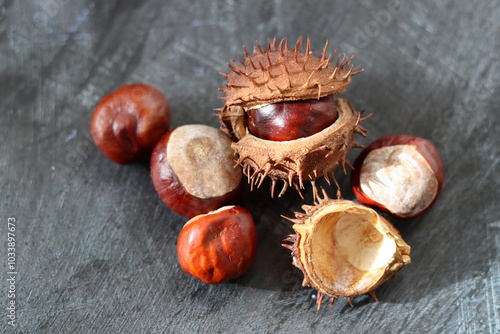 Autumn background with chestnuts, nuts and pine cones on black background. Natural fall season decoration. 