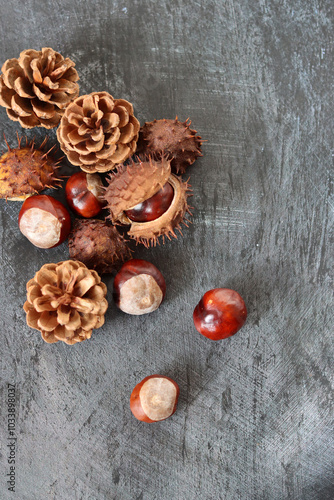 Close up photo of chestnuts on dark grey textured background with space for text. Autumn colors. 