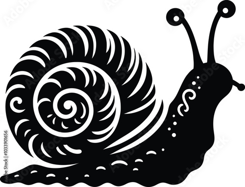 snail on a white background