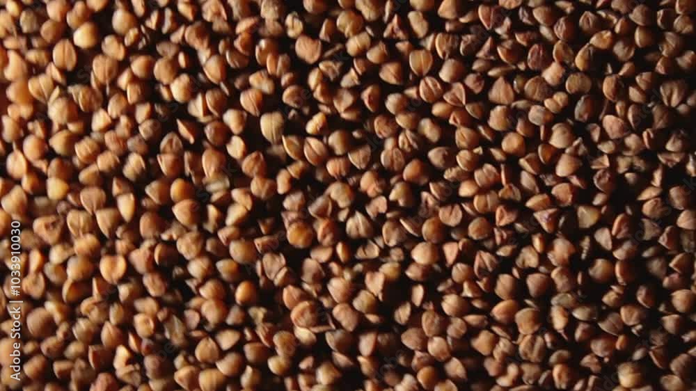 Dry Uncooked Brown Buckwheat Groats, Slowly Rotating Counter-Clockwise - Top View, Low Key Light. Raw Large Buckwheat Grains. Russian, Ukrainian and Belarusian Culture. Rotation Left Dry Uncooked Brown Buckwheat Groats, Slowly Rotating Counter-Clockwise - Top View, Low Key Light. Raw Large Buckwheat Grains. Russian, Ukrainian and Belarusian Culture. Rotation Left