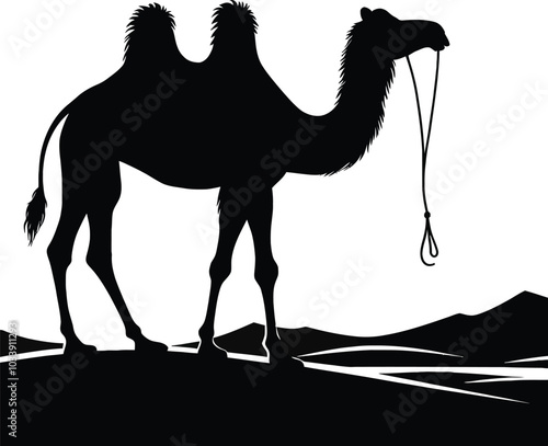 camels in the desert
