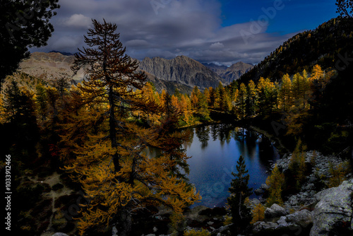 Couleurs automnales en montagne