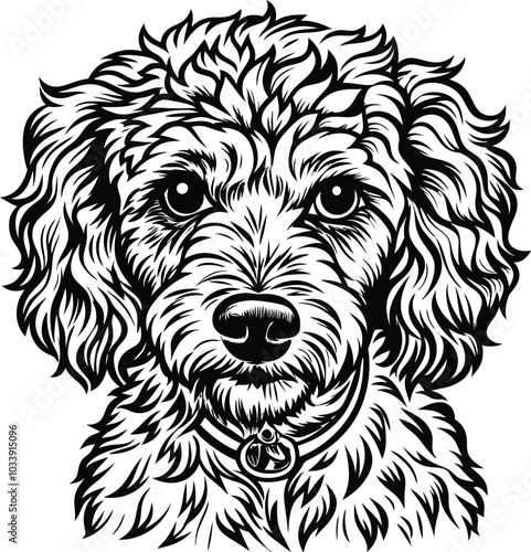 hand-drawn line art illustration of a Toy Poodle in a side view