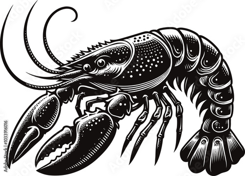 illustration of a lobster