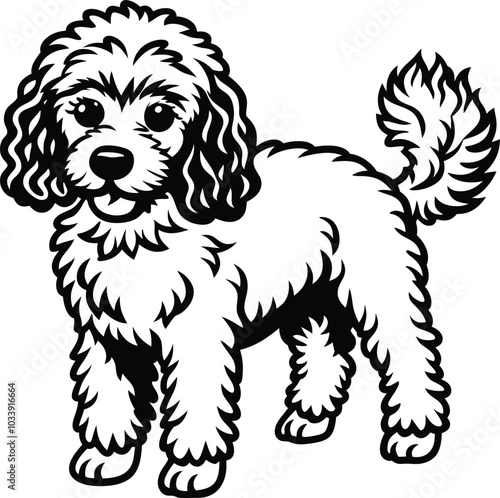 hand-drawn line art illustration of a Toy Poodle in a side view