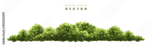 Vector of green grass side view isolated on white background ,watercolor tree elevation for landscape concept,environment scene,eco design, garden for spring