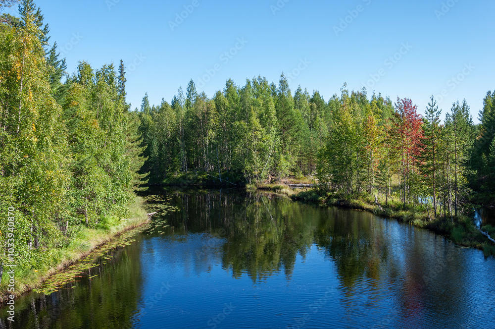 View of a beautiful lake among the forest in Karelia, Russia. Sunny summer day View of a beautiful lake among the forest in Karelia, Russia. Sunny summer day